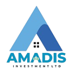 Amadis1 Investment